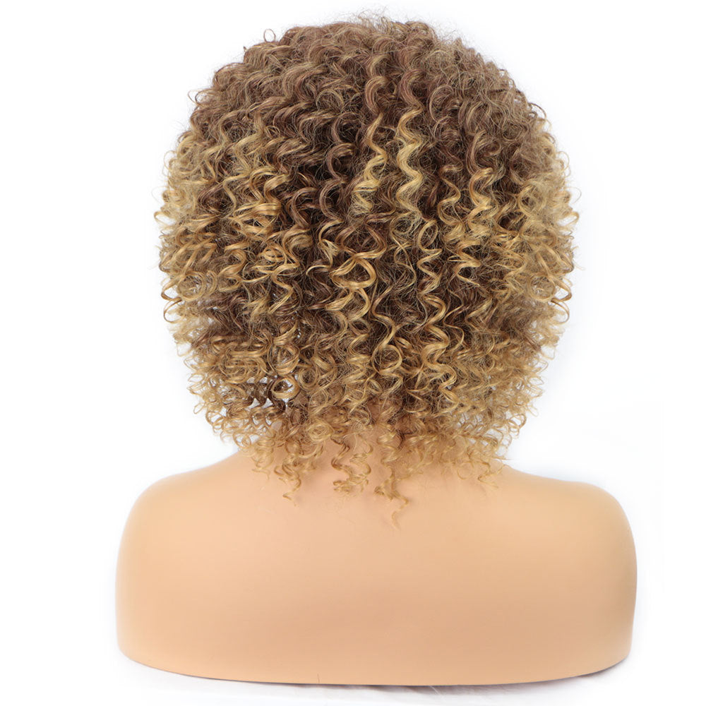 Cross-Border Wigs European And American Fashion African Small Curly Wigs Headgear Wig African Explosive Head Cross-Border Wigs European And American Fashion African Small Curly Wigs Headgear Wig African Explosive Head